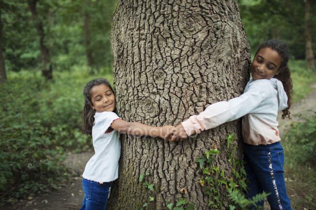 Sœurs sereines étreignant tronc d'arbre dans les bois — Photo de stock
