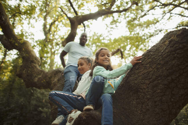 Отец и дочери лазают по деревьям — стоковое фото