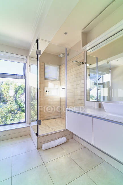 Modernes Haus Vitrine Interieur Bad Dusche — Stockfoto