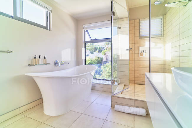 Casa moderna vitrine banheiro interior com banheira de imersão branca — Fotografia de Stock