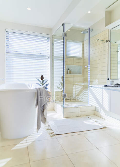 Moderne maison ensoleillée vitrine salle de bain intérieure avec baignoire — Photo de stock