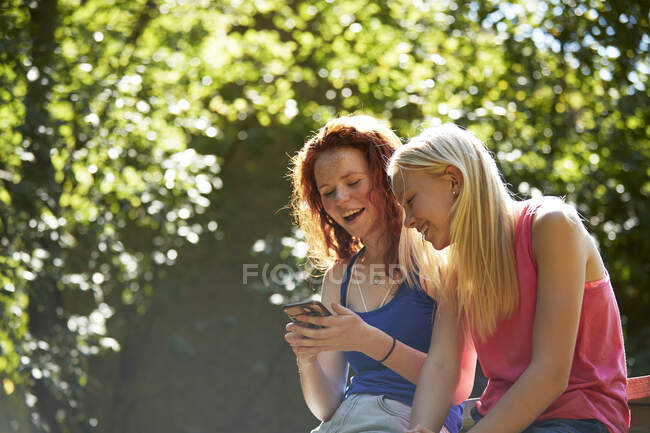 Felices amigas preadolescentes usando un teléfono inteligente debajo de árboles soleados - foto de stock