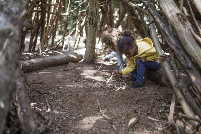 Curious sisters playing with sticks in dirt in tree branch fort — Stock Photo