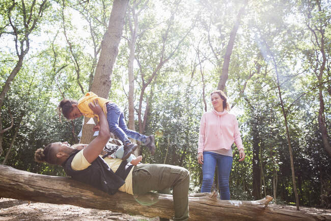 Family playing on fallen log below trees in sunny summer woods — Stock Photo