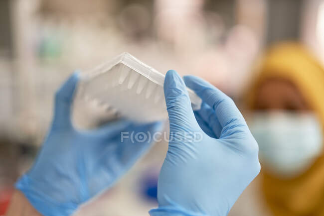 Gros plan scientifique dans des gants en caoutchouc tenant plateau spécimen — Photo de stock