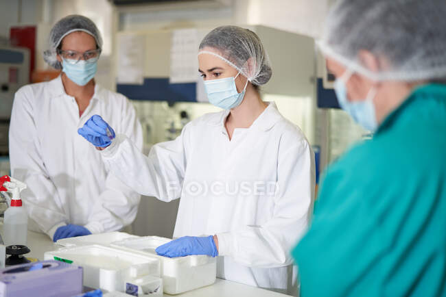 Cientistas do sexo feminino em máscaras faciais e vestuário de trabalho de proteção em laboratório — Fotografia de Stock