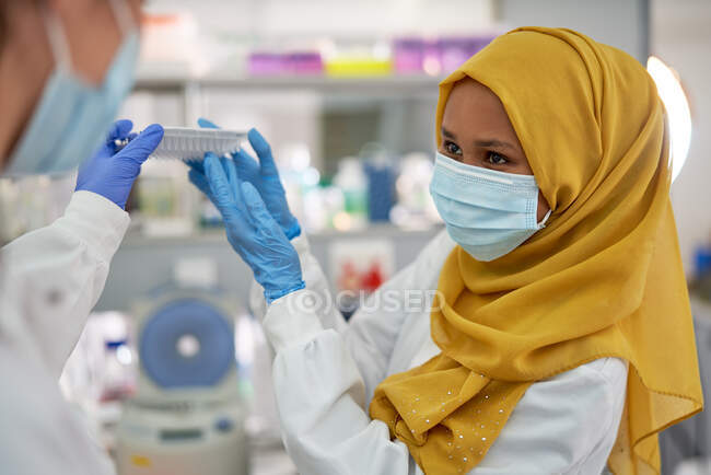 Жінка-вчена в хіджабі і маска для обличчя, що працює в лабораторії — стокове фото