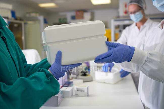 Scientists in rubber gloves passing specimen cooler in laboratory — Stock Photo