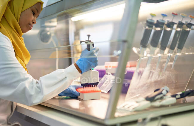Cientista feminina em bandeja de pipeta de enchimento hijab na capa de fumaça em laboratório — Fotografia de Stock