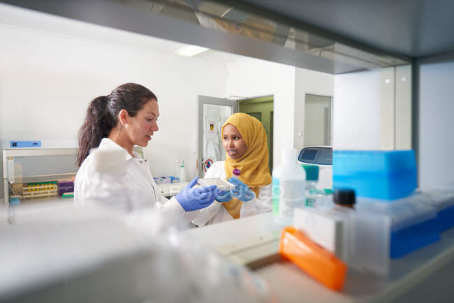 Cientistas com bandeja de pipeta falando em laboratório — Fotografia de Stock