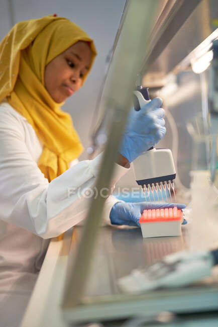 Female scientist in hijab filling pipette tray at fume hood in laboratory — Stock Photo