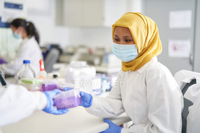 Wissenschaftlerin im Hidschab mit Gesichtsmaske arbeitet im Labor — Stockfoto