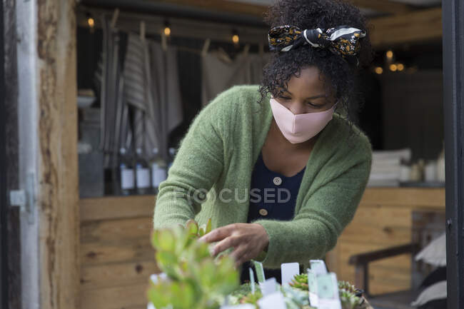 Propietaria de tienda femenina en mascarilla facial que tiende a plantas suculentas - foto de stock