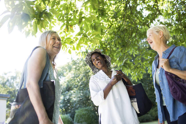 Fröhliche Seniorinnen lachen unter sonnigem Baum — Stockfoto