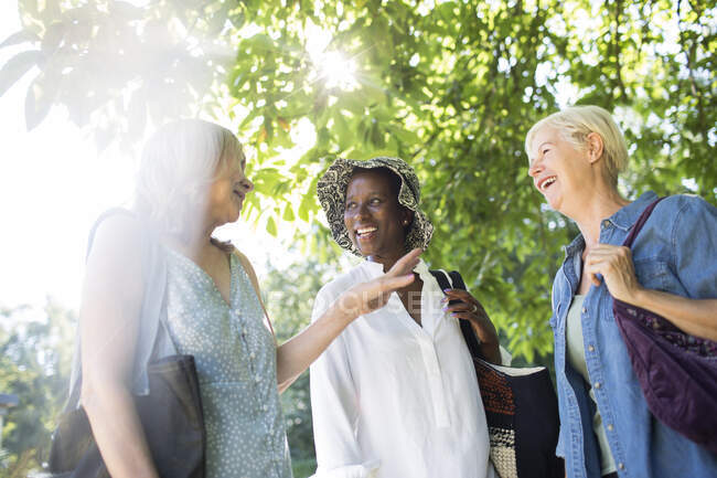 Happy senior women friends talking under sunny summer trees — Stock Photo