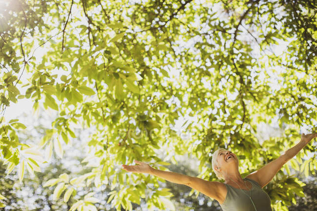 Виснажлива старша жінка з руками, витягнутими під сонячне дерево — стокове фото