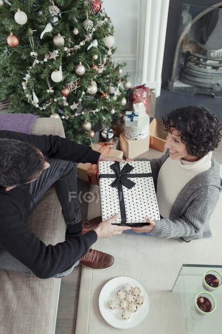 Marido dando presente de Natal à esposa por árvore na sala de estar — Fotografia de Stock