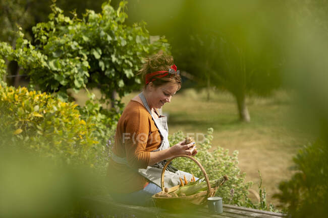 Femme regardant les légumes frais récoltés dans un jardin d'été ensoleillé — Photo de stock