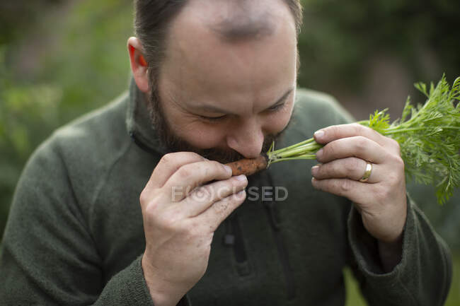 Close up man smelling fresh harvested carrot, — Stock Photo