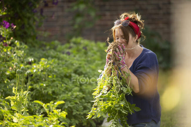 Frau riecht frisch geerntetes Gemüse im Sommergarten — Stockfoto