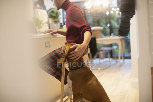 Dog watching man work from home at laptop in kitchen — Stock Photo