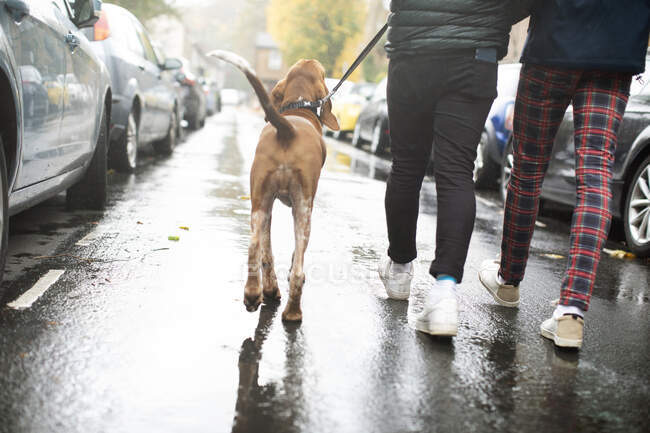 Gay mâle couple marche chien sur pluvieux rue — Photo de stock