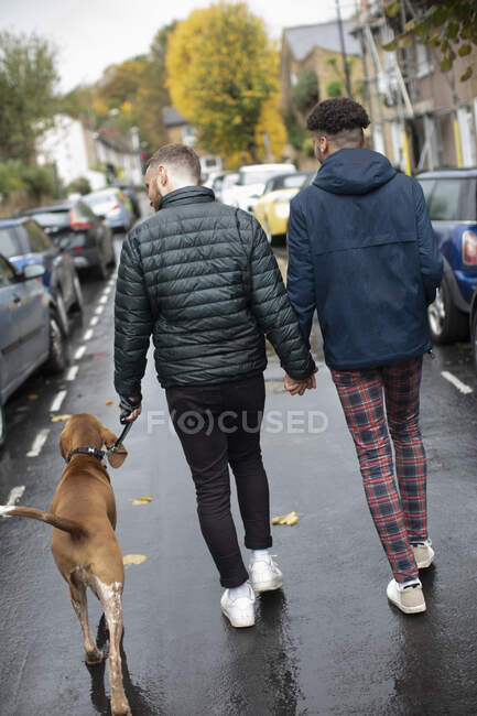 Gay maschio coppia tenendo mani camminare cane su bagnato strada — Foto stock