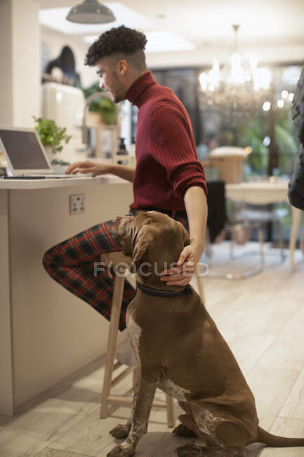 Молодой человек ласкает собаку, работая из дома за ноутбуком на кухне — стоковое фото