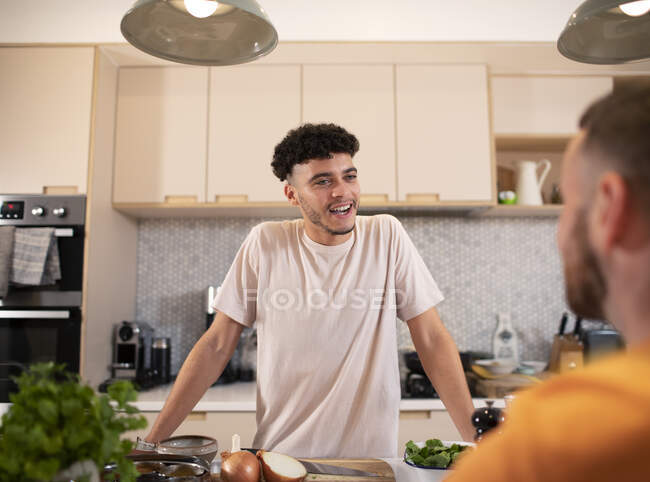 Gay masculino casal falando no cozinha — Fotografia de Stock