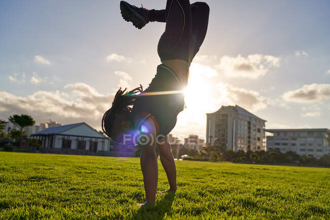 Атлетичный молодой человек делает стойку на руках в солнечной траве парка — стоковое фото