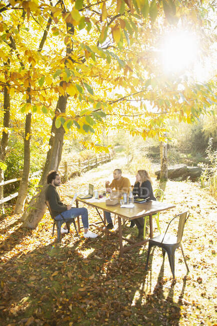 Geschäftsleute treffen sich zum Mittagessen im sonnigen idyllischen Herbstpark — Stockfoto