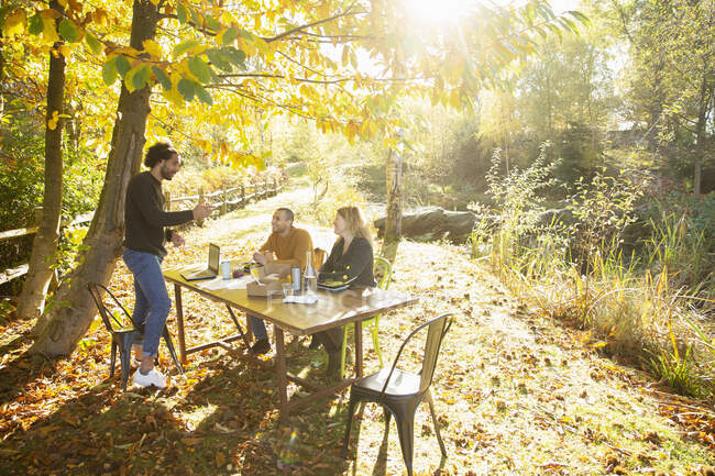 Ділові люди зустрічаються за столом у сонячному осінньому парку — стокове фото