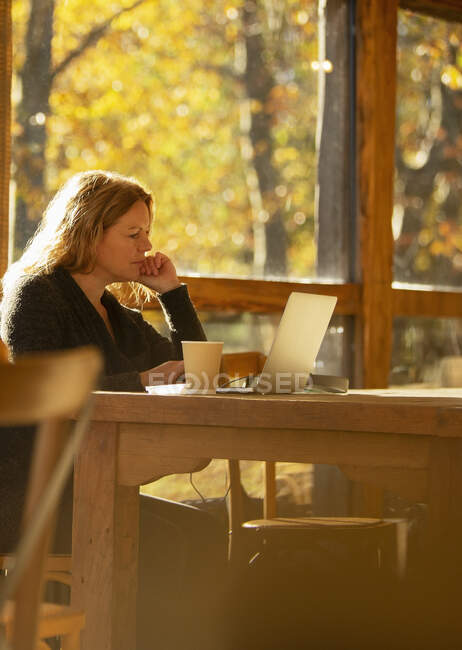 Бізнес-леді, що працює на ноутбуці в сонячному кафе — стокове фото