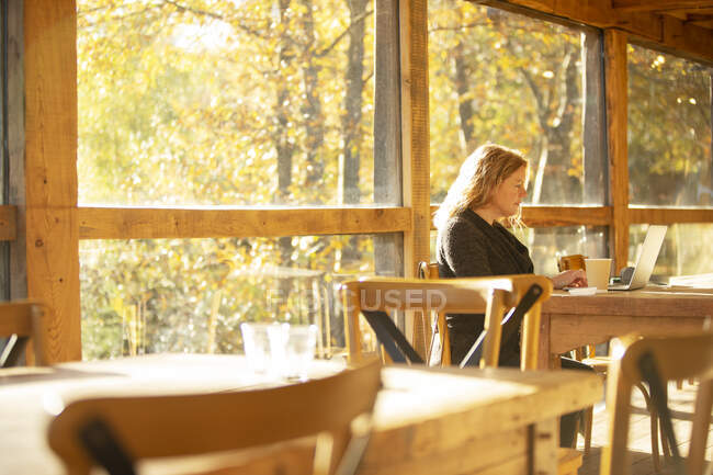 Female business owner working at laptop in sunny autumn cafe — Stock Photo