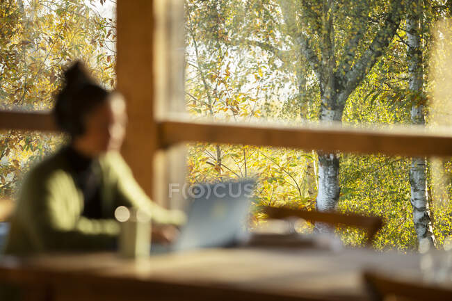 Donna che lavora al computer portatile in caffè con vista sugli alberi autunnali — Foto stock