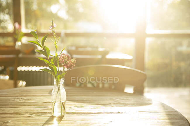 Ramo de flores silvestres simple en tarro de vidrio en la mesa de café soleado - foto de stock