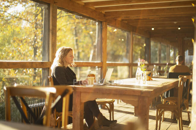 Businesswoman working at laptop in sunny autumn restaurant — Stock Photo