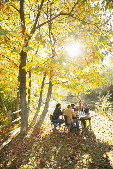 Gente de negocios trabajando en la mesa en el idílico parque de otoño - foto de stock