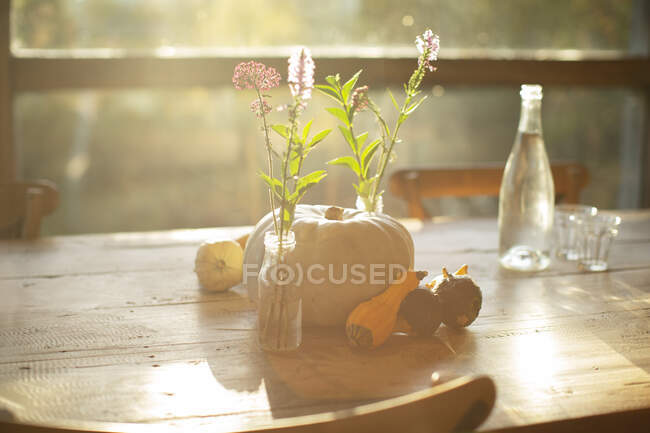 Mazzi di fiori selvatici semplici, zucche e zucche sulla soleggiata tavola autunnale — Foto stock