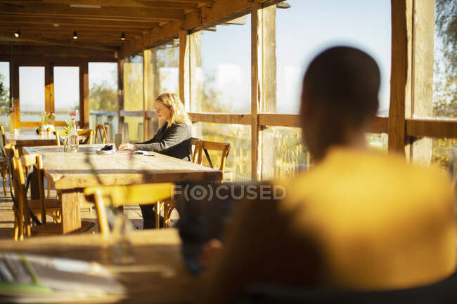 Деловые люди, работающие за ноутбуками в солнечном кафе — стоковое фото