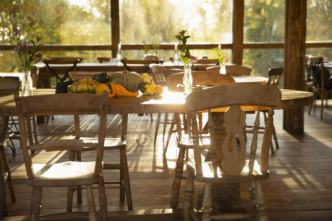 Citrouilles et gourdes d'automne sur la table dans un restaurant rustique ensoleillé — Photo de stock