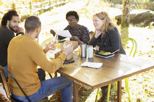 Negócios reunião e almoçar à mesa no parque — Fotografia de Stock