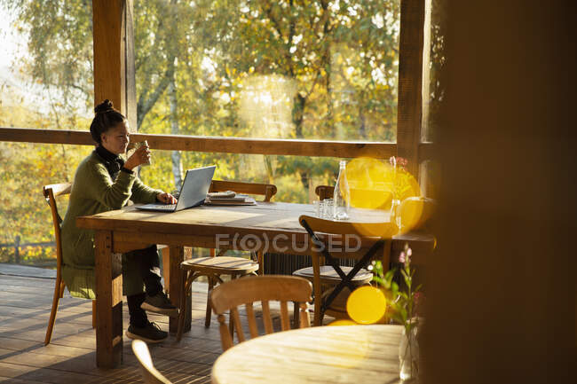 Безробітна жінка з кавою, що працює на ноутбуці в сонячній осінній кафе. — стокове фото