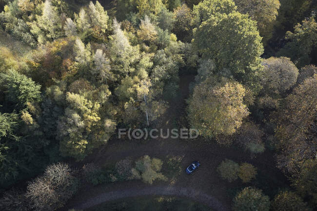 Aerial view idyllic autumn treetops — Stock Photo