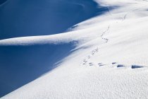 Pegadas trilha na encosta da montanha nevada — Fotografia de Stock