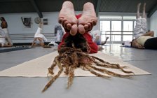 7 de Outubro de 2006. Milano, festival de Yoga. Pessoa fazendo posição de ioga . — Fotografia de Stock
