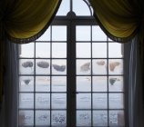 Дневной вид на закрытое мокрое окно — стоковое фото