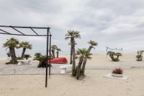 Italia, Tortoreto Lido. Barco volteado y palmeras en la playa de arena - foto de stock