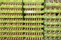 13 de abril de 2017. Italia, Milán. Muchos conejitos dulces envueltos en papel de aluminio en los estantes de las tiendas para la Pascua - foto de stock