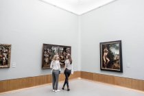9 августа 2016 года. Роттердам, Музей Бойманса ван Бейнса. Портрет женщины, смотрящей друг на друга в галерее — стоковое фото